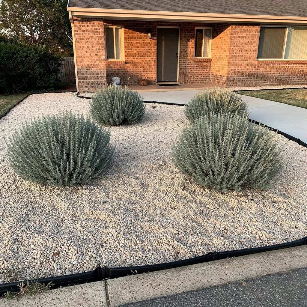 The Gravel and Silver Herb Garden That Stopped Needing Water After Year One